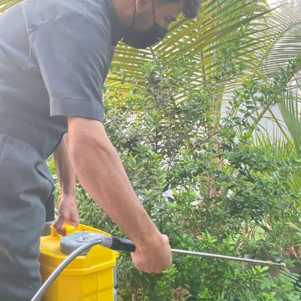 حديقة أحلامك تتحقق