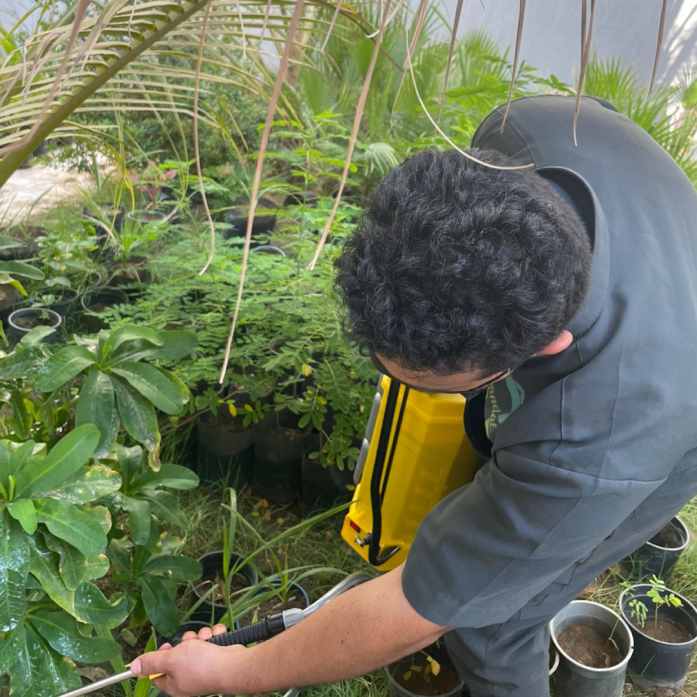 حديقة أحلامك تتحقق